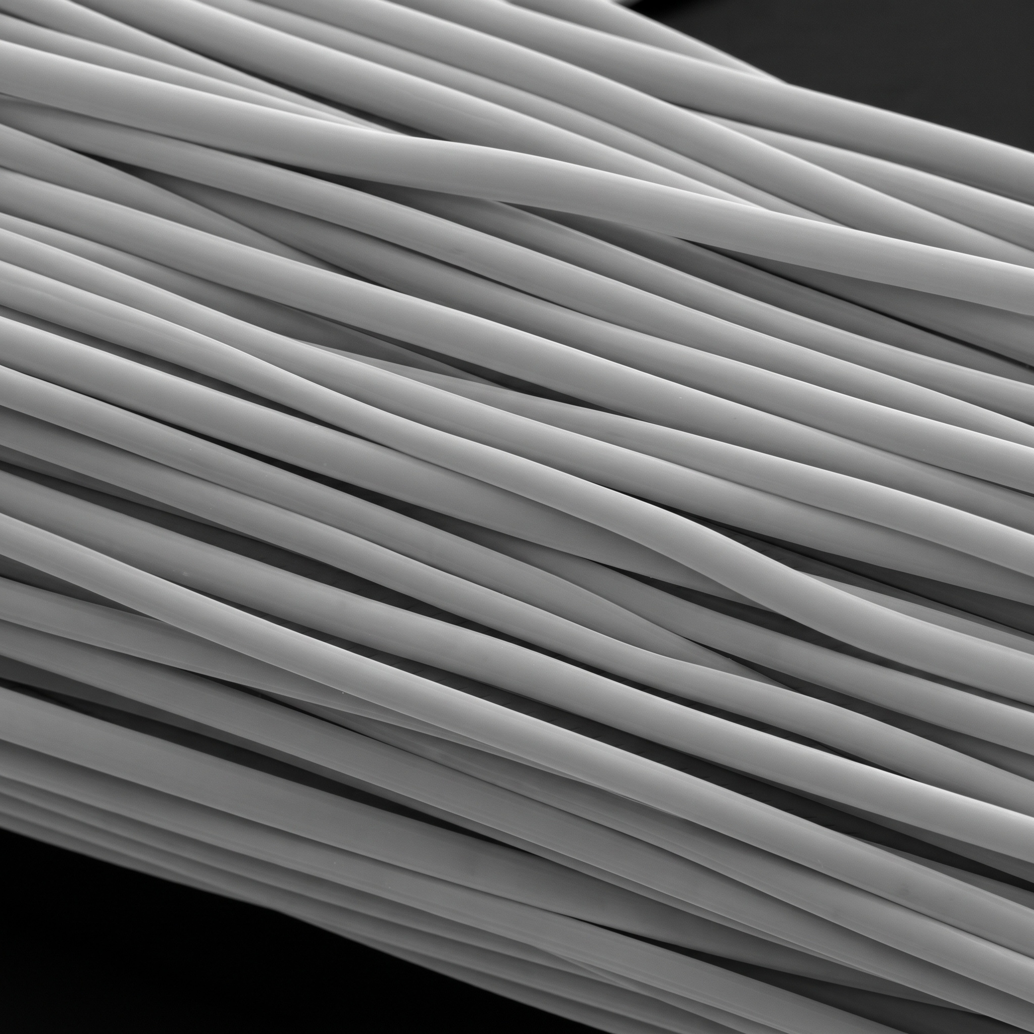 Scientific illustration of Polyester fibre under magnification