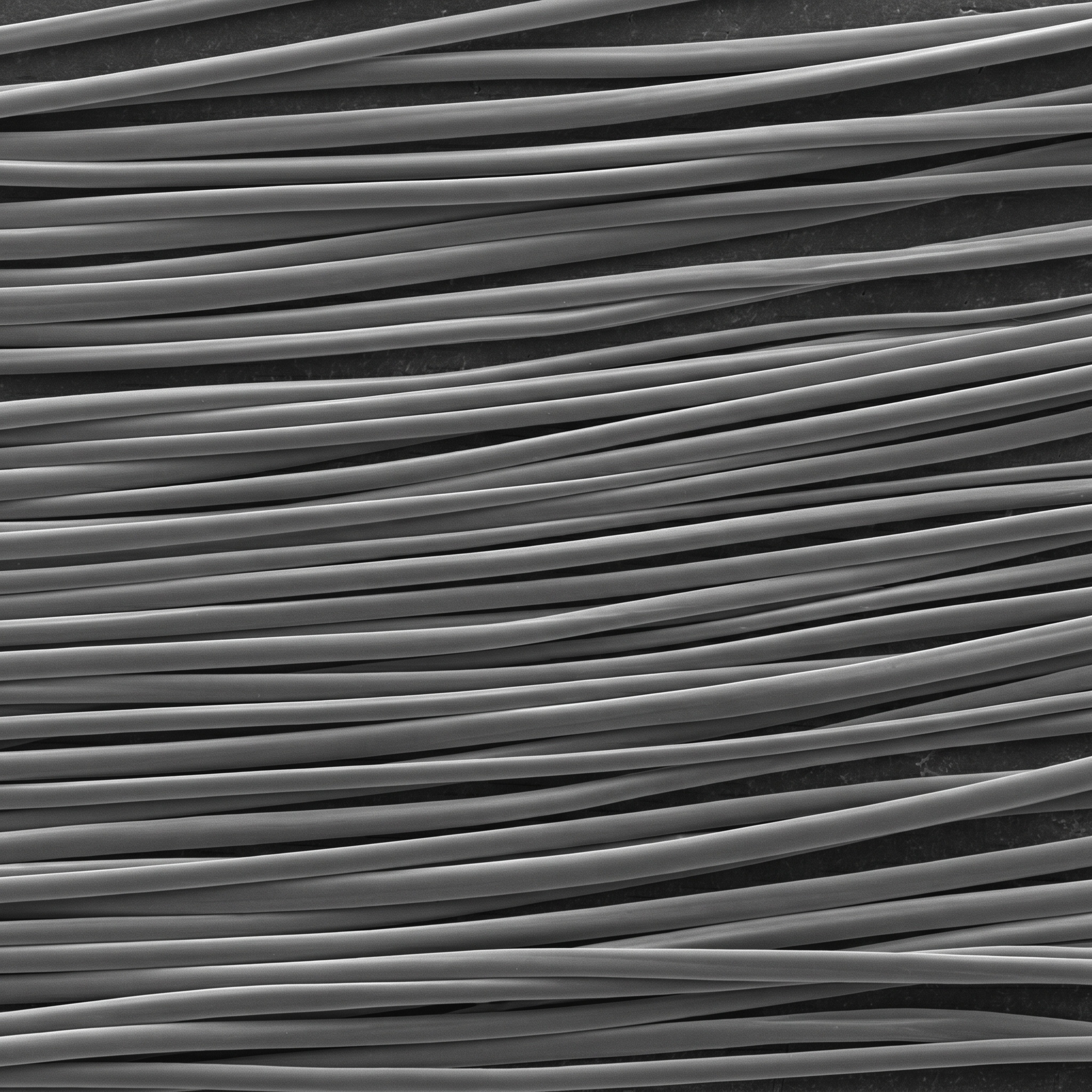 Scientific illustration of Silk fibre under magnification